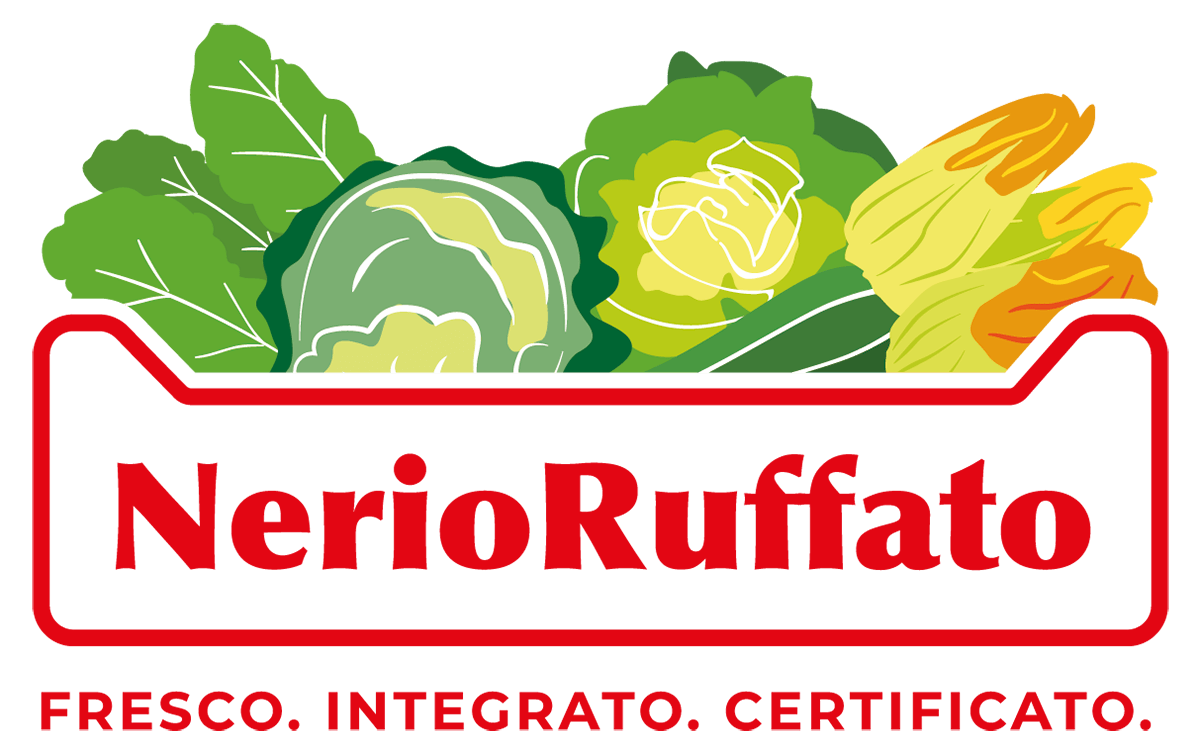 logo nerio ruffato